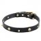 Leather dog collar "Rock the Goth" with brass spikes and skulls