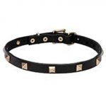 Leather Dog Collar with Brass Studs - "Modern Style" 4/5 inch (20 mm)