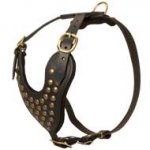 Designer High Quality Studded Leather Dog Harness