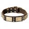 Handcrafted Vintage Spiked Dog Collar