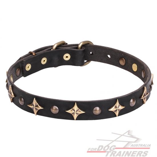 'Milky Way' 1 inch (25 mm) Leather Dog Collar with Old Bronze-plated Half-ball Studs and Stars