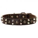 Leather Dog Collars with Studs and Pyramids