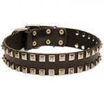 Fashionable Studded Leather Collar