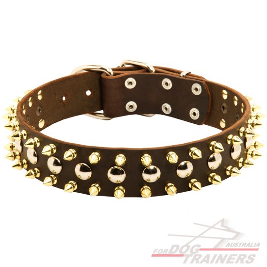 Funky leather dog collars online