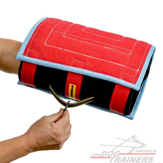 Bite developer for young and adult dogs