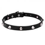 Leather Dog Collar with Chrome Plated Pyramids - "Beauty & Elegance" 4/5 inch (20 mm)