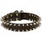 Spiked Leather Dog Collar
