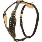 Luxury Designer Padded Leather Dog Harness