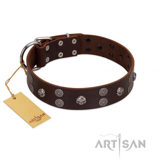 "Skull Valley" Handcrafted FDT Artisan Brown Leather dog Collar with Skulls