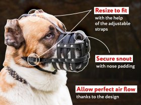 Leather Mesh Basket Dog Muzzle with Free Air Flow