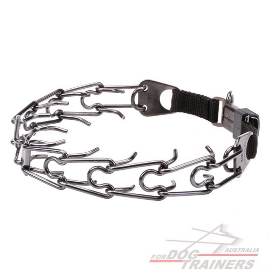 Expert Black Stainless Steel Dog Pinch Collar Dog Supplies Australia Dog Muzzles, Harnesses