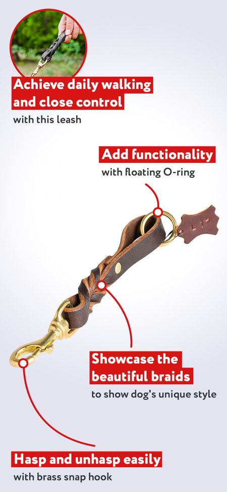 Short leather dog leash (pull tab leash)