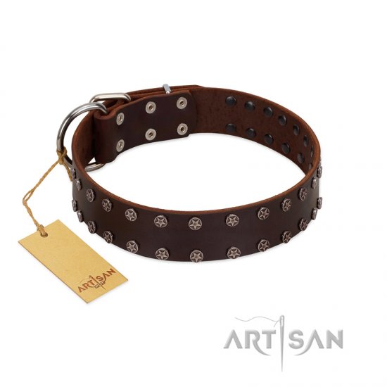 "Star Party" Handmade FDT Artisan Brown Leather dog Collar with Silver-Like Studs