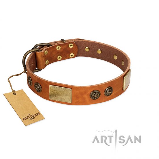 "Bronze Century" FDT Artisan Tan Leather dog Collar with Plates and Brooches with Cool Ornament