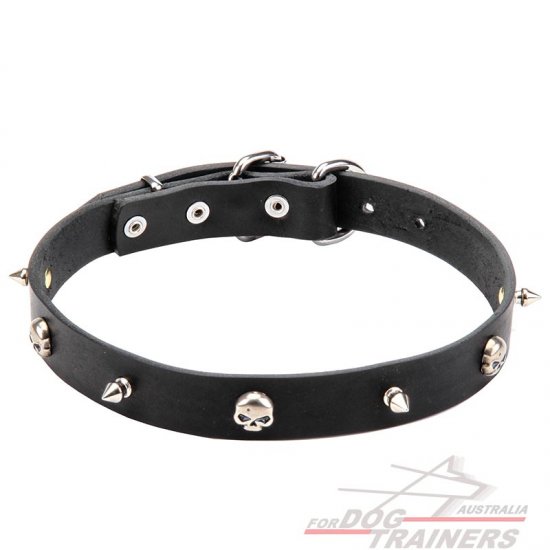 Unique Leather Dog Collar with Sculls and Spikes
