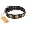 "Fancy-Schmancy" FDT Artisan Studded Leather dog Collar