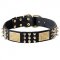 Gorgeous Leather Dog Collar