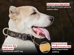Fashionable Royal Nappa Padded Hand Made Leather Dog Collar