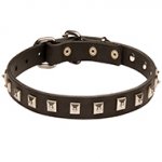 New Caterpillar Style Leather Dog Collar