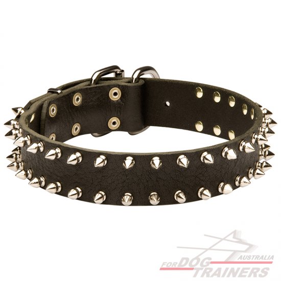 Spiked Leather Dog Collar