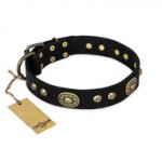 "High Fashion" FDT Artisan Studded with Plates Black Leather dog Collar