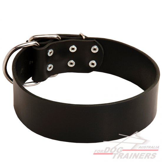 leather dog collars australia