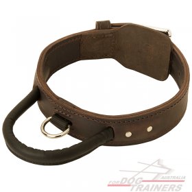 2 ply leather agitation dog collar with handle