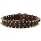 Designer Spiked and Studded Leather Dog Collar
