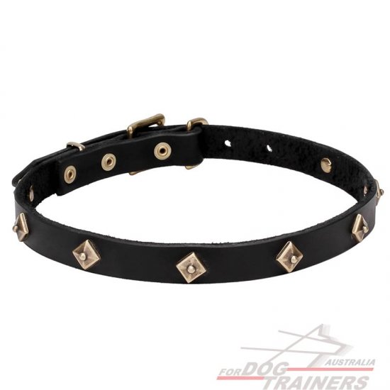 Leather Dog Collar 'Rhombi' with Brass Decorations