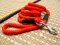 Cord nylon dog leash - dog lead