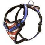 Designer Leather Dog Harness Hand Painted