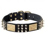 Gorgeous Leather Dog Collar