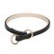 Choke Dog Collar for Obedience Training