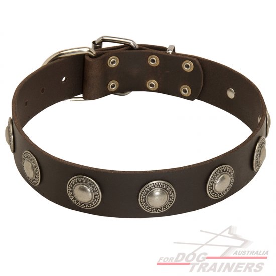 Wide Leather Collar with Silver Conchos