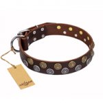 "Strong Shields" FDT Artisan leather dog collar with stylish decorations