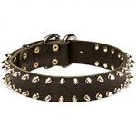 Spiked Leather Dog Collar