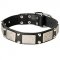 Designer Leather Dog Collar With Vintage Nickel Plates and Pyramids