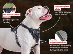 Best Training Agitation / Protection Leather Dog Harness for Large Breeds