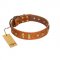 "Sand of Time" FDT Artisan Tan Leather dog Collar with Old Bronze-like Studs and Plates