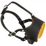 Leather Anti-Barking Padded Dog Muzzle