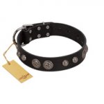 "Tricky Ricky" FDT Artisan Black Leather dog Collar Adorned with Silver-Like Conchos