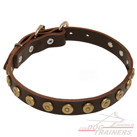 Super Gorgeous Leather Dog Collar