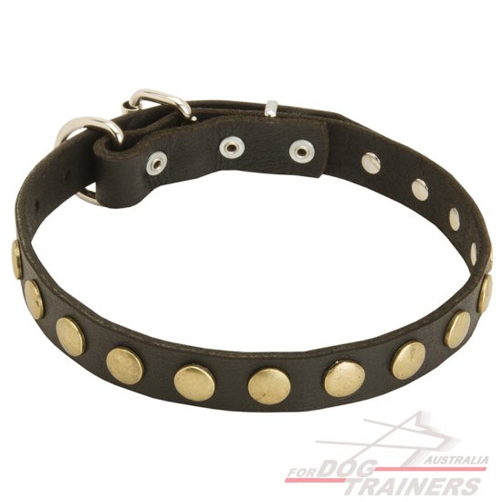 Gorgeous Leather Dog Collar