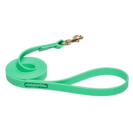 Green Waterproof dog Leash Made of Biothane