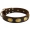 Splendid Vintage Ovals Leather Dog Collar