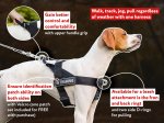 All Weather Professional Training Nylon Dog Harness for Working Dogs