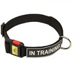 Multipurpose Service Nylon Collar with Patches