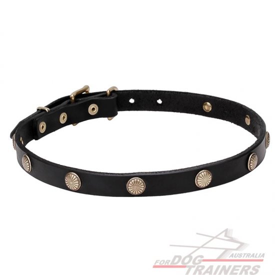 "Sunny Beams" 4/5 inch (20 mm) wide Leather Dog Collar with Engraved Brass Studs - Click Image to Close