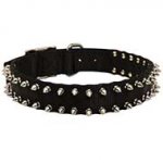 Waterproof Nylon Dog Collar with Spikes