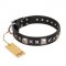"Space Walk" FDT Artisan Black Leather dog Collar with Adornments